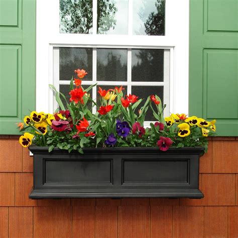 Window box 36